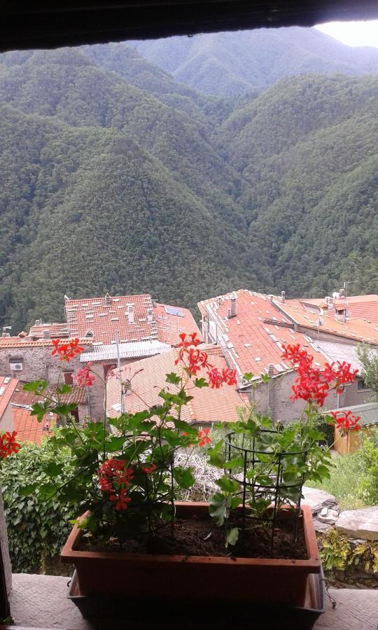 Casa Poggio Delle Farfalle Stazzema Zewnętrze zdjęcie